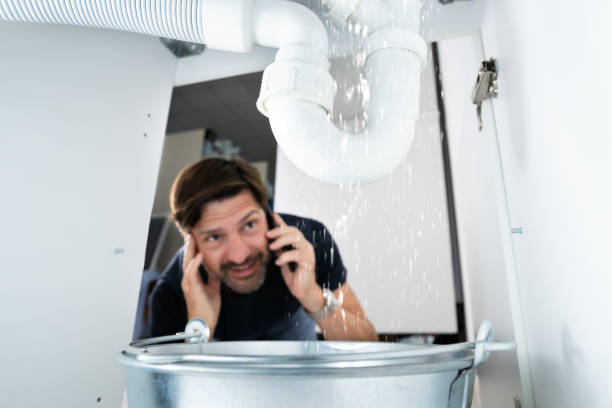 Best Affordable Plumbing Services  in Colfax, WI